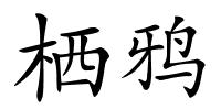 栖鸦的解释