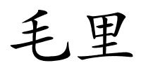 毛里的解释