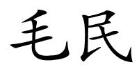 毛民的解释