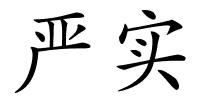 严实的解释