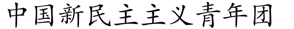 中国新民主主义青年团的解释