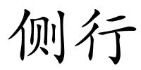 侧行的解释