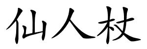 仙人杖的解释