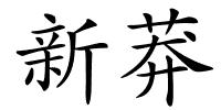 新莽的解释