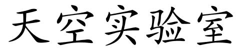 天空实验室的解释