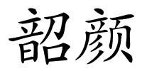 韶颜的解释