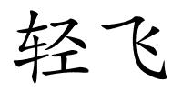 轻飞的解释