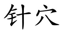 针穴的解释