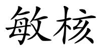 敏核的解释