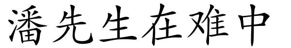 潘先生在难中的解释