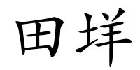 田垟的解释