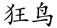 狂鸟的解释