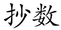 抄数的解释