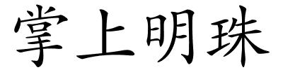 掌上明珠的解释