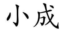 小成的解释