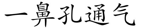 一鼻孔通气的解释