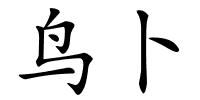 鸟卜的解释