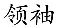 领袖的解释