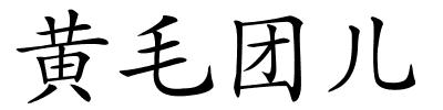 黄毛团儿的解释