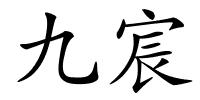 九宸的解释