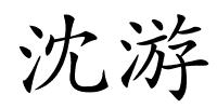 沈游的解释