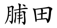 脯田的解释