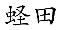 蛏田的解释