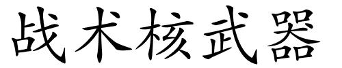 战术核武器的解释