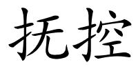 抚控的解释