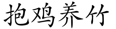 抱鸡养竹的解释