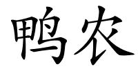 鸭农的解释