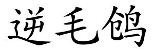 逆毛鸧的解释