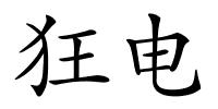 狂电的解释