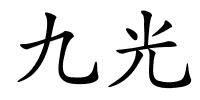 九光的解释