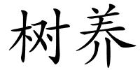 树养的解释