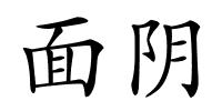 面阴的解释