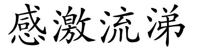 感激流涕的解释