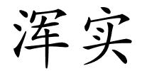 浑实的解释