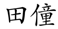 田僮的解释