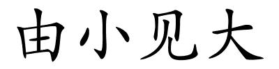 由小见大的解释