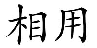 相用的解释