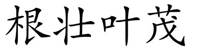 根壮叶茂的解释