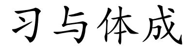 习与体成的解释