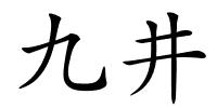 九井的解释