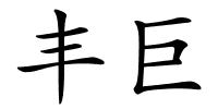 丰巨的解释