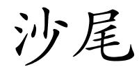 沙尾的解释