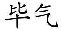 毕气的解释