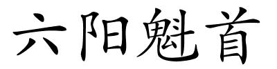 六阳魁首的解释