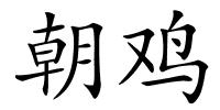 朝鸡的解释