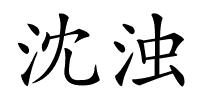 沈浊的解释